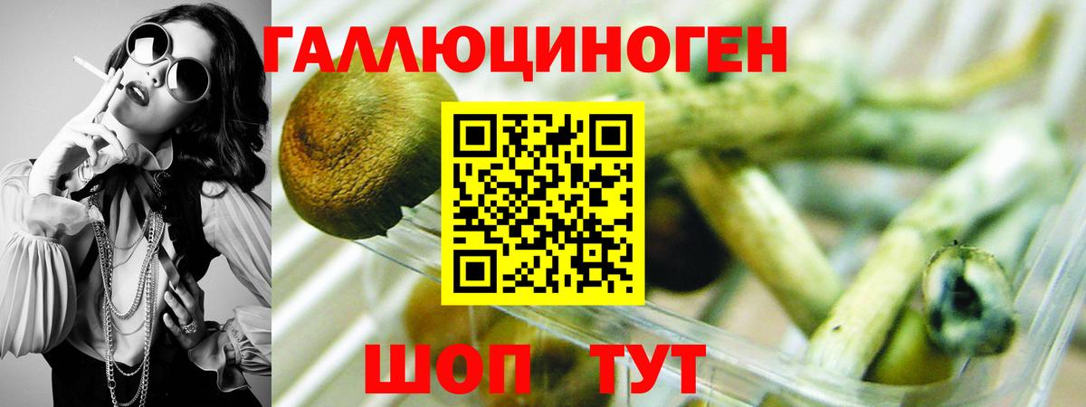 Донецк  купить   Вход с VPN  Галлюциногенные грибы Psilocybe 